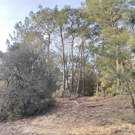 Apartamento L Instant Chaumois - Moment Zen Aux Sables D Olonne Les Sables-dʼOlonne