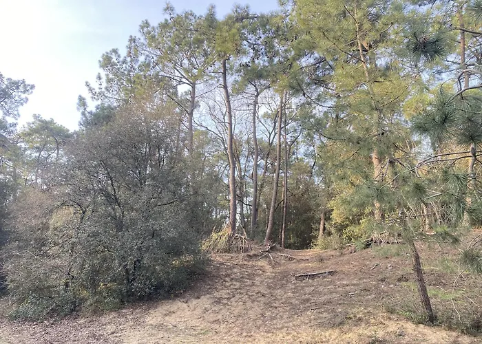 Apartamento L Instant Chaumois - Moment Zen Aux Sables D Olonne Les Sables-dʼOlonne